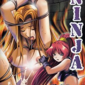 DVD NINJA - EPISODE 1 THE VENGEANCE